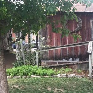 Meet your Posher, Katy